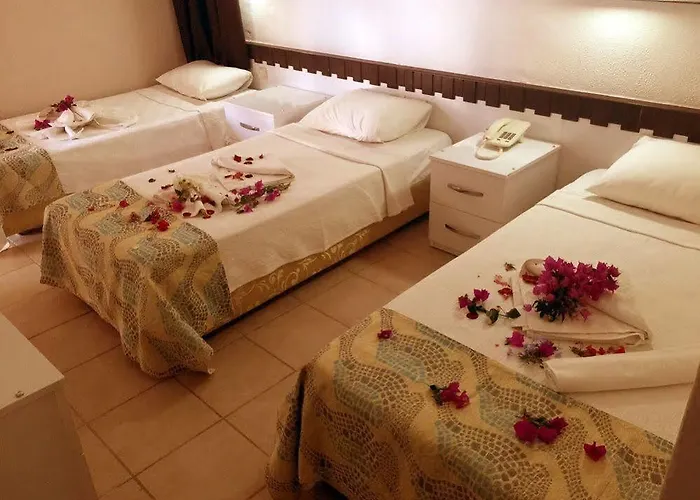 New Bodrum 2 Αλικαρνασσός